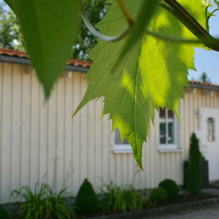 Gaestehaus Gaumenflug Am See Günzburg Exterior foto